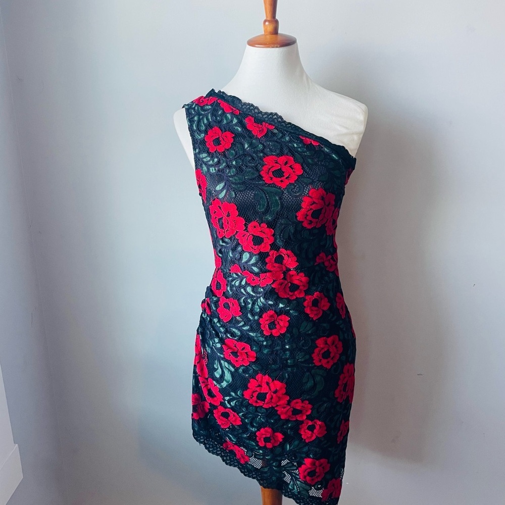 Lovers & Friends Jennings Dress Rose Print NWT RARE